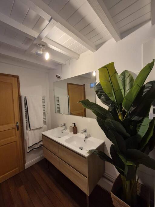 Appartement Porec, Lumineux Vue Sur La Cathedrale *